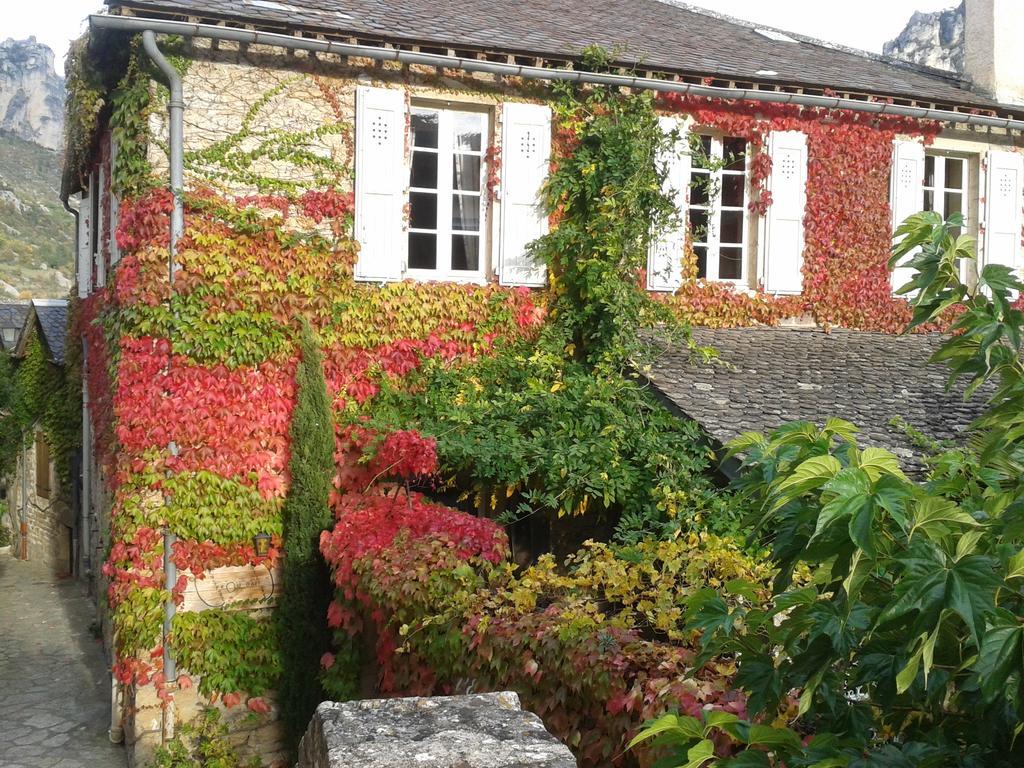 Bed and Breakfast Ermitage De Peyreleau Esterno foto